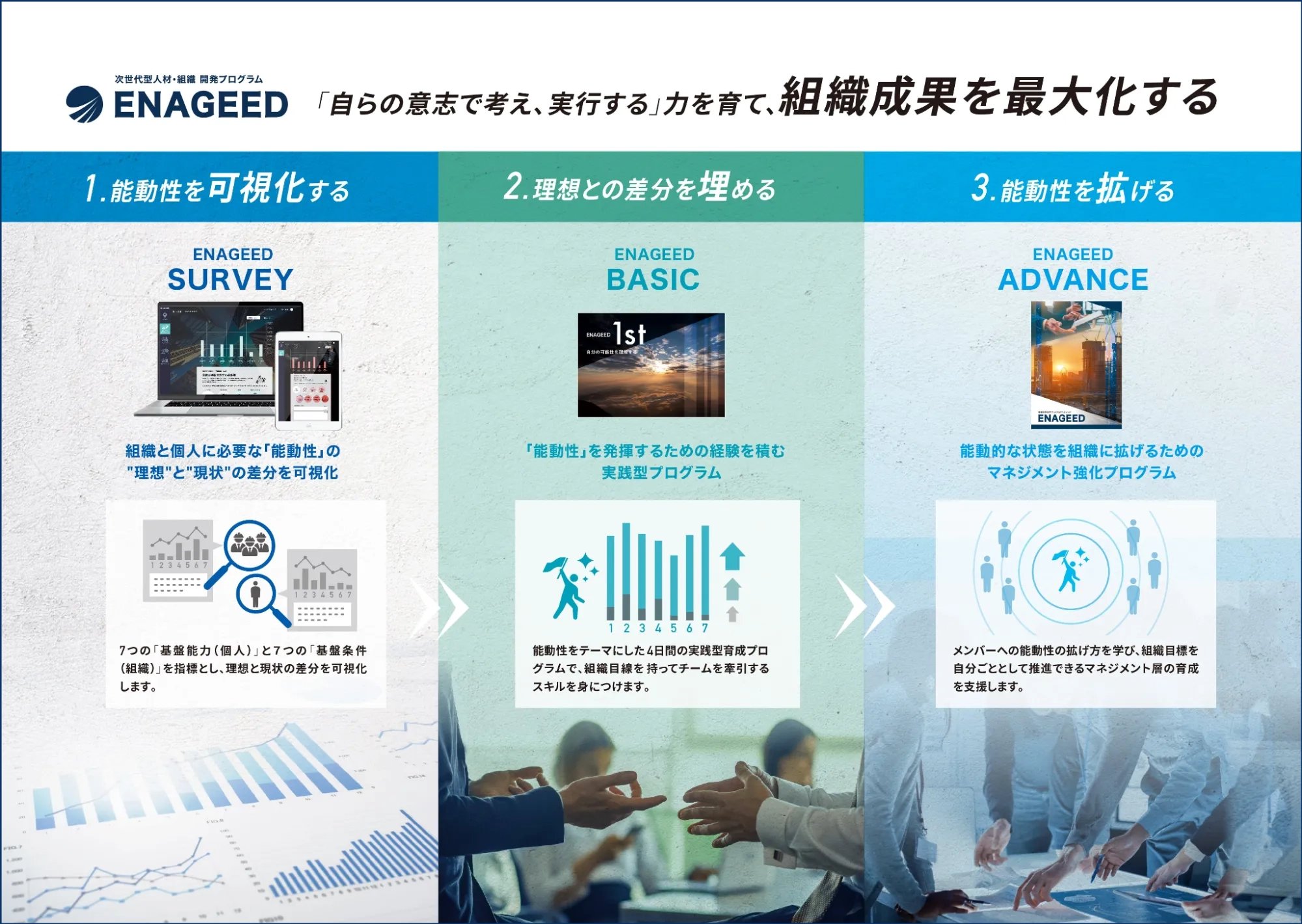ENAGEED SURVEY 導入例