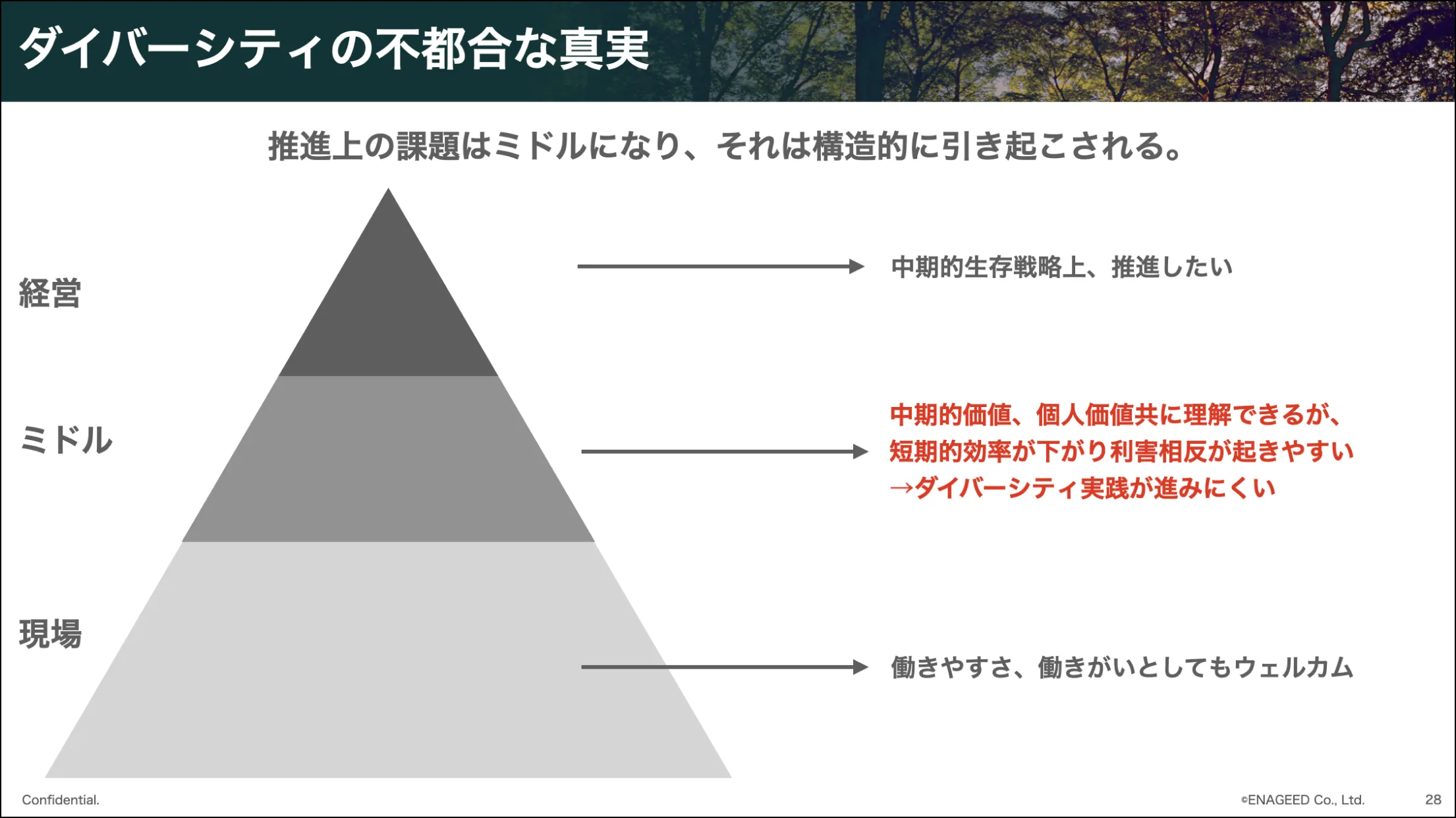 ダイバーシティの不都合な真実